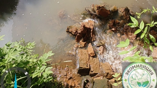 Экомилиция обнаружила в Вартемягах реку из нечистот от элитных коттеджей к Охте
