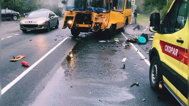 В Ленобласти на трассе А-120 столкнулись школьный автобус и легковушка