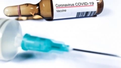ВОЗ: вакцинация не должна быть обязательным условием для выезда за рубеж