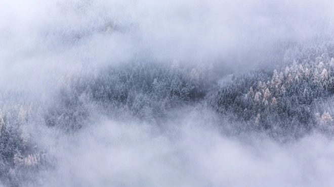 Петербуржцев предупредили о тумане 5 декабря