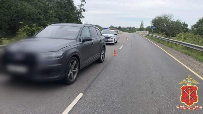 В Киришском районе Ленобласти водительница Audi сбила насмерть 13-летнюю девочку