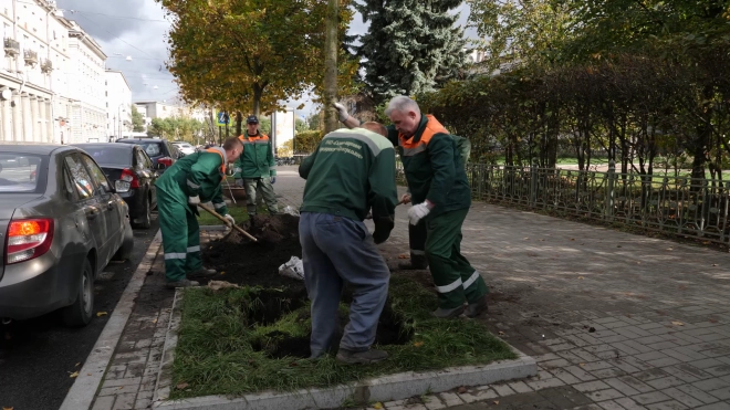 В Петербурге помоют 60 млн "квадратов" улично-дорожной сети в месячник благоустройства