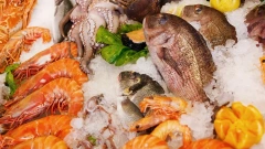 Владелец сети Sela откроет новый рыбный ресторан в Петербурге