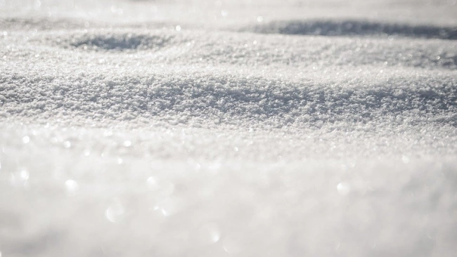 Мокрый снег и гололед прогнозируют в Ленобласти 31 декабря 