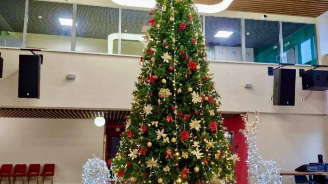 Петербург подарил шестиметровую ель детям из Мариуполя к Новому году