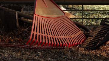 АО “Садово-Парковое предприятие “Пушкинское” приобретет садовый инвентарь на 355 тыс. рублей 