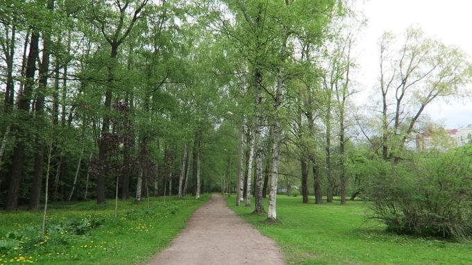 Гендиректор РЭО заявил, что строительство экопромышленного парка под Нижним Новгородом идет по плану