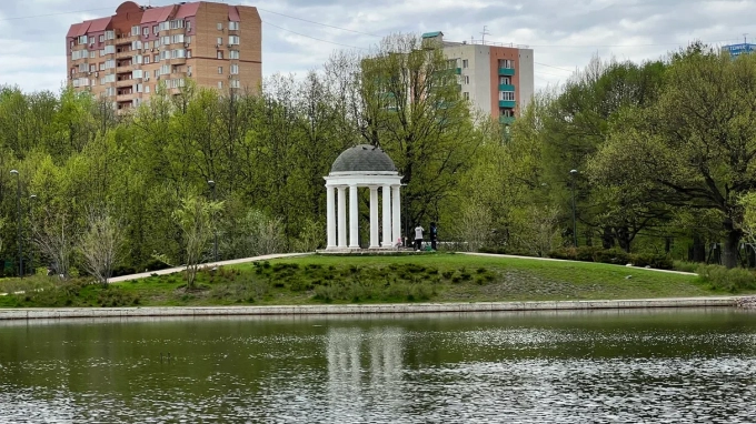 Куртяник заявила, что камеры в Подмосковье научили следить за чистотой