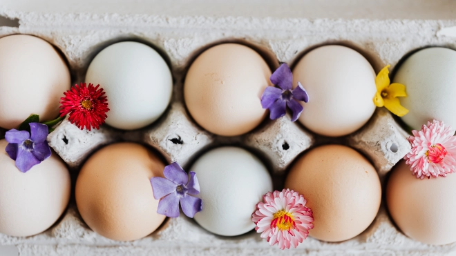 Ленобласть в 2021 году стала лидером в России по производству яиц