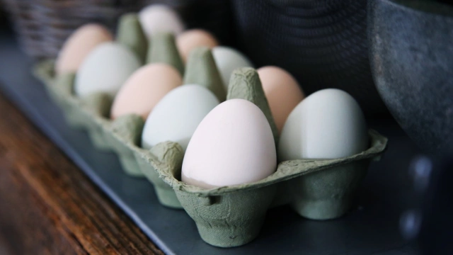 Запасы яиц у сельхозпредприятий в РФ оказались на 1,9% меньше, чем в 2023 году
