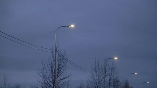 На участках Горского и Левашовского шоссе модернизировали систему освещения