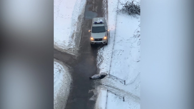 На заснеженном тротуаре на юго-западе Петербурга умер человек