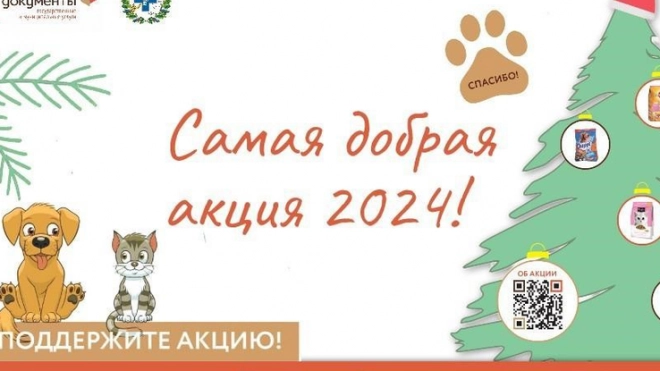 В Ленобласти с 1 декабря начинают собирать корма для бездомных животных