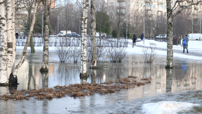 В Ленобласти 22 марта ночью местами похолодает до -9 градусов