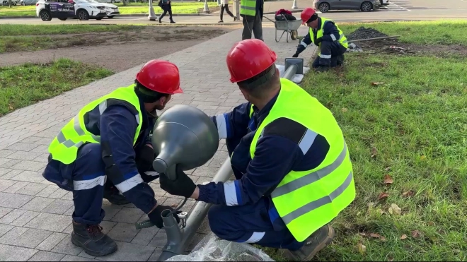 Любашинский сад засияет в новом свете