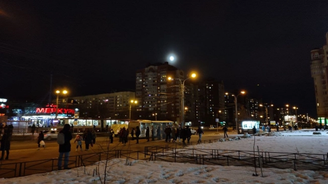 Фото: волчье полнолуние в Петербурге 