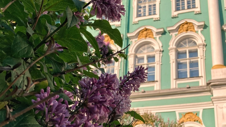 В Петербурге обследуют состояние стен и фасада Зимнего дворца перед реставрацией 