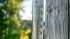 Как менялась среднесуточная температура в Петербурге за последние три года: данные из архивов Гидрометцентра