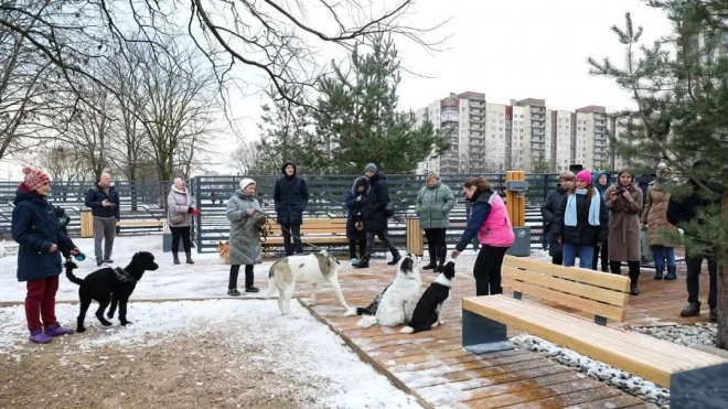 В этом году в Петербурге благоустроят 3 площадки для выгула и дрессировки собак