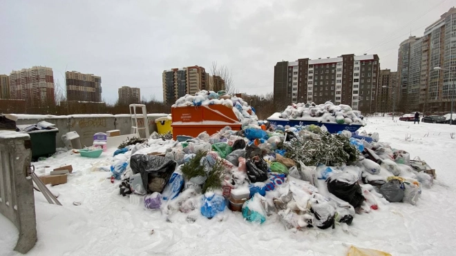 В Петербурге в рамках мусорной реформы заменят около 20 тысяч контейнеров
