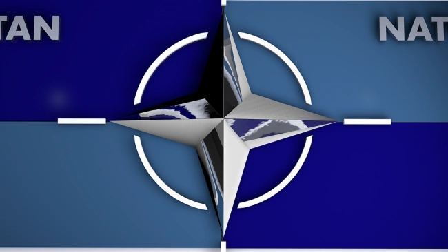 Global Times: Финляндия и Швеция попадут в ловушку США, вступив в НАТО