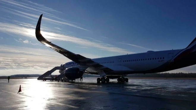 Эксперты прокомментировали возобновление авиасообщения России с Грузией