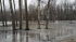В четверг новый циклон ”Назима” принесёт в Петербург дожди с мокрым снегом