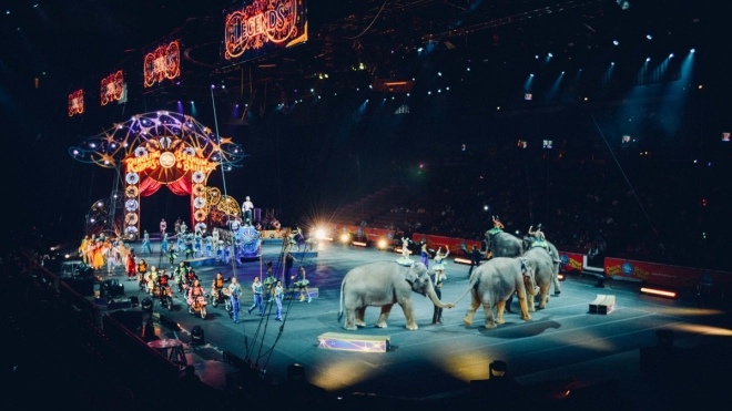 Депутаты петербургского ЗакСа не поддержали инициативу о запрете животных в цирке 