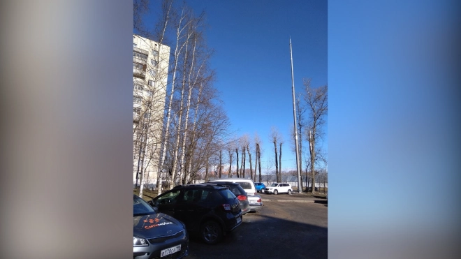 Эксперт прокомментировал инициативу запретить размещать антенные системы в Петербурге