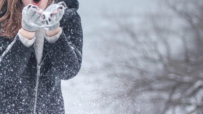 Сотрудники МЧС предупредили жителей Ленобласти о сильных снегопадах и ветре 
