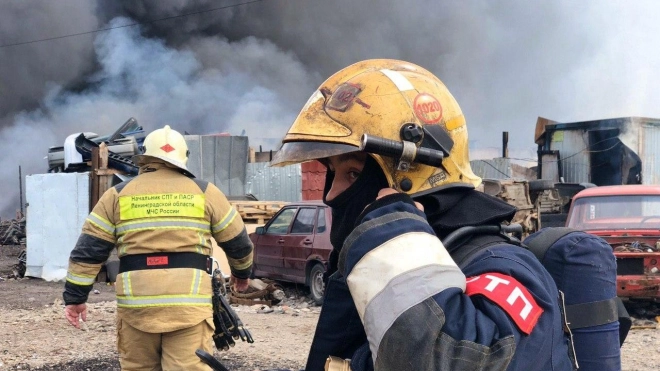 К тушению крупного пожара в Ломоносове привлекли 28 человек