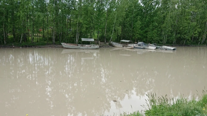 Берега Нижнего Буферного пруда в Приморском районе могут благоустроить