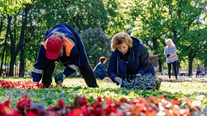 В Александровском саду открылся ежегодный Фестиваль цветов