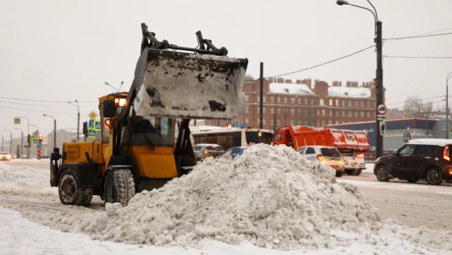 Петербуржцы подписывают петицию с требованием взять под контроль уборку снега