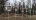 Жители ЖК Прибрежного квартала устроили чучельный митинг против "кривых" законов