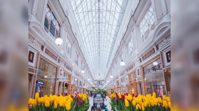 До 8 марта в петербургском Пассаже горожан будет радовать фестиваль тюльпанов
