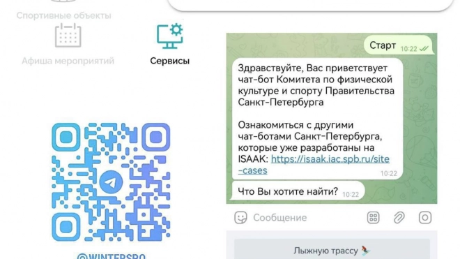 Telegram-бот с информацией о катках и лыжных трассах запустили в Петербурге