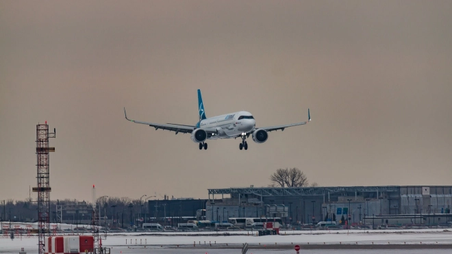 Из-за снежной погоды рейсы в Петербург массово задерживаются