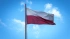 Польский регулятор призвал потребителей отказаться от покупки российских товаров 