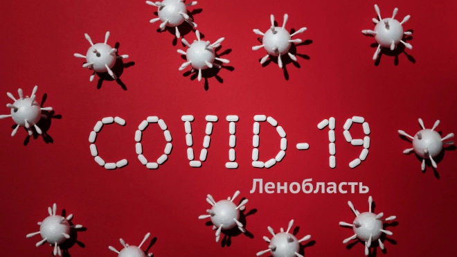 Среднесуточное количество новых случаев COVID-19 в Ленобласти закрепилось на одном уровне