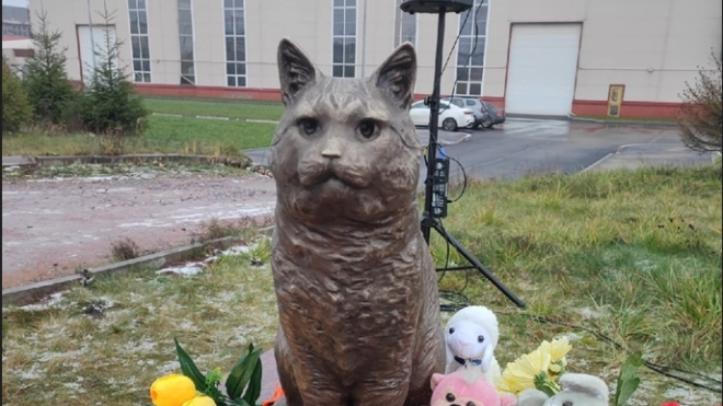 На городском кладбище животных в Петербурге открыли памятник коту Кузе