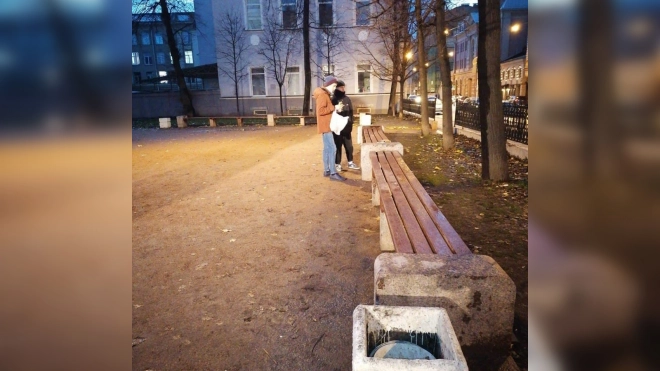 После жалоб петербуржцев проверили сквер на улице Маяковского