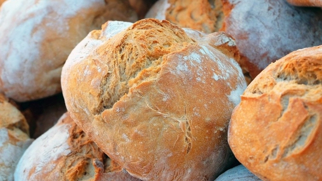 Петербуржцам дали советы по выбору качественного хлеба