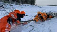 Жителей Ленобласти попросили не выходить на лед