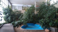 В Группе "Эталон" рассказали о предстоящем сносе зимнего сада ЛДМ