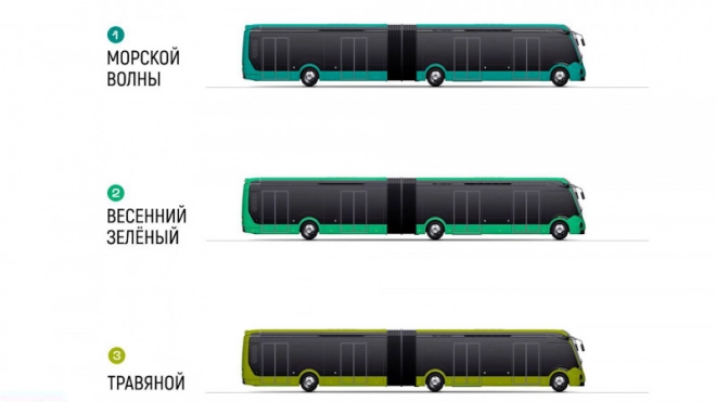 Петербуржцы смогут выбрать цвет для будущих электробусов
