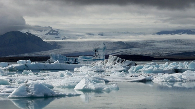 Под антарктическим ледником ученые нашли "оазис жизни"