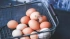 Набиуллина объяснила внезапный рост цен на яйца в РФ