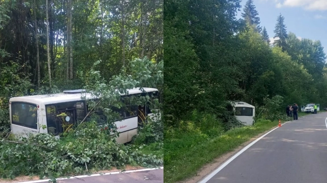 В Бокситогорском районе  междугородний автобус угодил в кювет