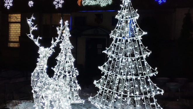 Неизвестные украли новогодние украшения в МО "Озеро Долгое"